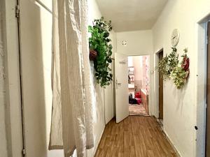 Prodej bytu 1+1, Most, tř. Budovatelů, 41 m2