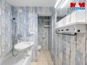 Pronájem bytu 1+1, Ústí nad Labem - Severní Terasa, Šípková, 33 m2