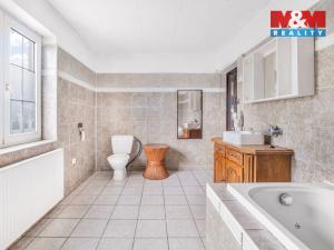 Prodej rodinného domu, Dlouhý Most, 323 m2