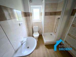 Pronájem bytu 1+1, Děčín, Saská, 28 m2