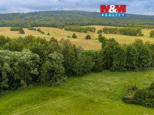 Prodej louky, Dětřichov, 4178 m2