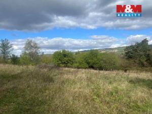 Prodej zahrady, Lešany, 5897 m2