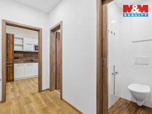 Pronájem bytu 4+1, Ústí nad Labem - Bukov, Nedbalova, 89 m2