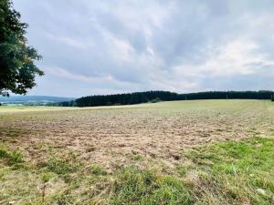 Prodej louky, Herálec, 35197 m2