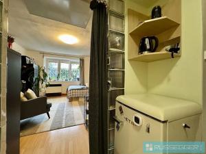 Pronájem bytu 1+kk, Brno, Sýpka, 29 m2