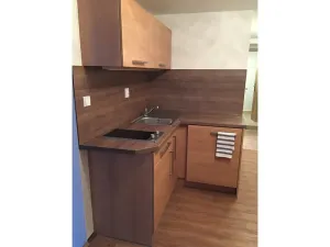 Pronájem bytu 1+1, Liberec, Lázeňská, 36 m2