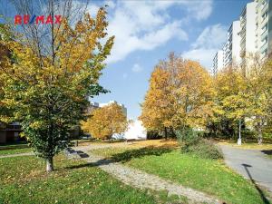 Pronájem bytu 1+kk, Praha - Chodov, Benkova, 30 m2