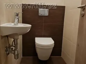 Pronájem bytu 1+kk, Rosice, Karla IV., 55 m2