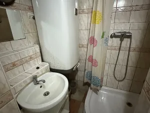 Pronájem rodinného domu, Zdíkov, 100 m2