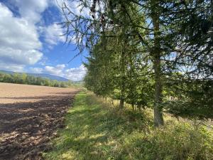 Prodej lesa, Lánov - Horní Lánov, 4009 m2