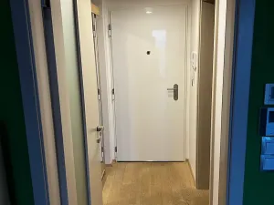 Pronájem bytu 1+kk, Praha - Žižkov, Olšanská, 36 m2