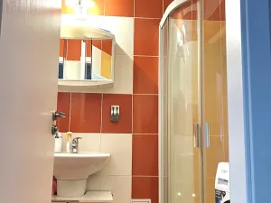 Prodej bytu 1+1, Plzeň, Tělocvičná, 47 m2