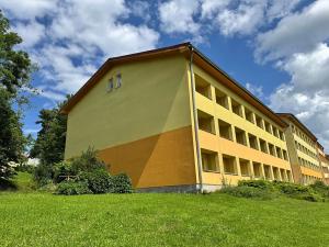 Prodej bytu 1+kk, Frymburk, 30 m2