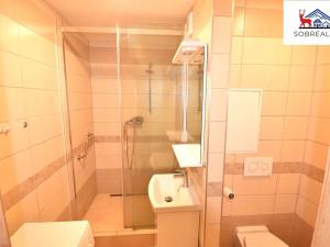 Prodej bytu 1+kk, Teplice, kpt. Jaroše, 33 m2