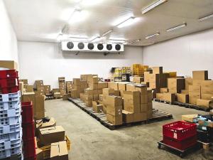 Prodej výrobních prostor, Rozsíčka, 1800 m2