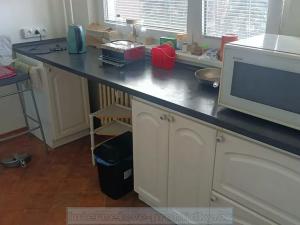 Pronájem pokoje, Praha - Hlubočepy, Geologická, 20 m2