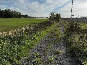Prodej komerčního pozemku, Veltrusy, 36520 m2