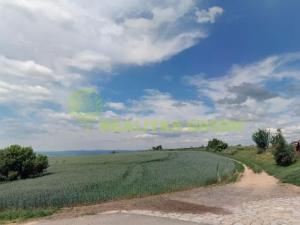 Prodej podílu pole, Doubravice nad Svitavou, 2937 m2