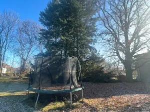 Pronájem rodinného domu, Zvole, 260 m2