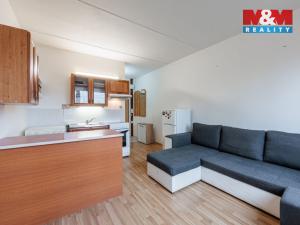 Prodej bytu 1+1, Chodov, Luční, 36 m2