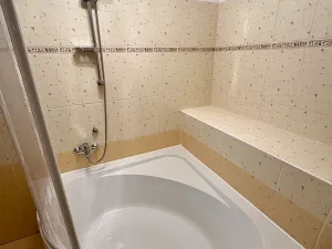 Pronájem bytu 1+kk, Karviná, Fryštátská, 48 m2