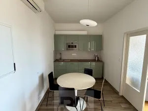 Pronájem bytu 2+1, Praha - Staré Město, Revoluční, 58 m2