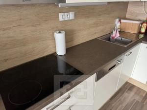 Pronájem bytu 2+kk, Brno, Tuřanské náměstí, 55 m2