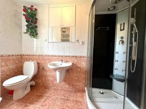 Pronájem bytu 2+1, Karlovy Vary, Poštovní, 63 m2