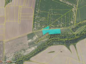 Prodej pole, Břežany II, 9795 m2