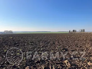 Prodej pole, Střezetice, 28205 m2