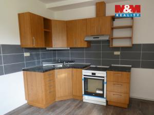 Pronájem bytu 1+kk, Ostrava - Krásné Pole, Družební, 30 m2