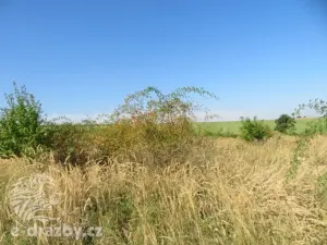Dražba zahrady, Grunta, 927 m2