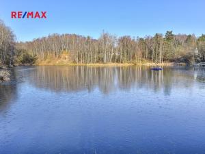 Prodej pozemku pro bydlení, Břasy, 6257 m2