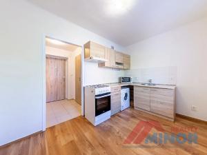 Pronájem bytu 1+1, Slaný, Rabasova, 28 m2