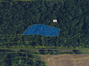 Dražba lesa, Lhota Rapotina, 1793 m2