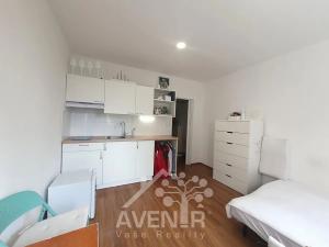 Pronájem bytu 1+kk, Jablonec nad Nisou, Na Výšině, 20 m2