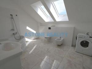 Pronájem rodinného domu, Trnová, 370 m2