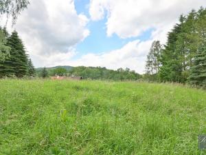 Prodej rodinného domu, Valkeřice, 270 m2