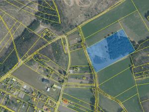 Prodej pozemku, Bechlín - Předonín, 15382 m2