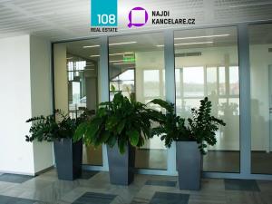 Pronájem kanceláře, Ostrava, Gregorova, 2594 m2