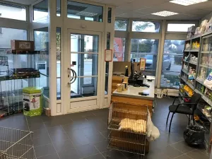 Pronájem obchodního prostoru, Jihlava, Přední, 270 m2