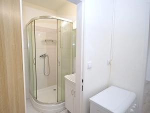 Pronájem bytu 1+kk, Frýdek-Místek, Bruzovská, 30 m2