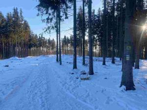 Prodej pozemku, Frýdštejn, 1080 m2