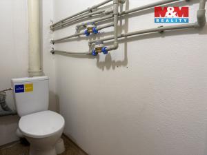 Pronájem kanceláře, Bechyně, Písecká, 16 m2