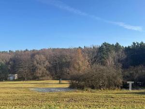 Prodej vícegeneračního domu, Újezd u Chocně, 247 m2