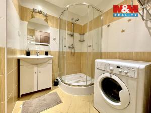 Pronájem bytu 1+1, Teplice, Alejní, 39 m2