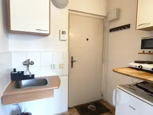 Pronájem bytu 1+kk, Brno, Veletržní, 19 m2