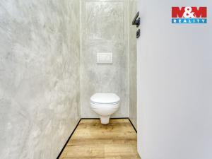 Prodej bytu 2+1, Plzeň - Východní Předměstí, Brojova, 56 m2