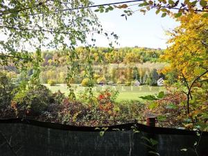 Prodej chaty, Kaliště, 30 m2