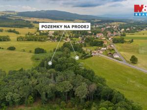 Prodej louky, Dětřichov, 4178 m2